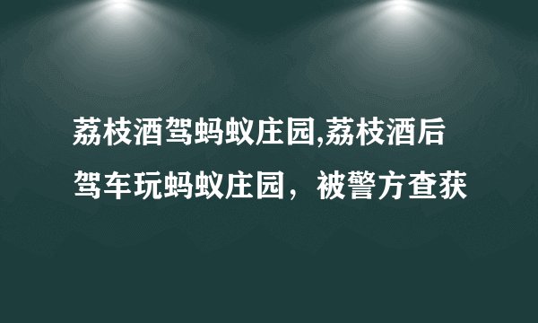 荔枝酒驾蚂蚁庄园,荔枝酒后驾车玩蚂蚁庄园，被警方查获