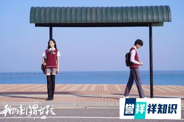 《我的刺猬女孩》优酷开播 李逸男庄达菲上演带刺青春