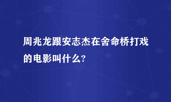 周兆龙跟安志杰在舍命桥打戏的电影叫什么?