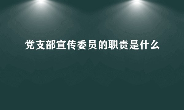 党支部宣传委员的职责是什么