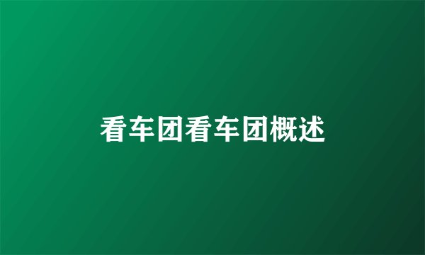 看车团看车团概述