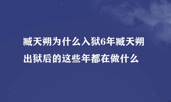 臧天朔为什么入狱6年臧天朔出狱后的这些年都在做什么