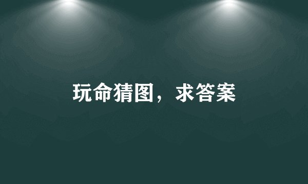 玩命猜图，求答案