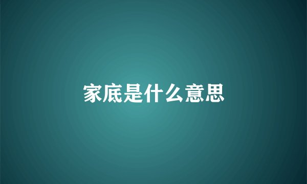 家底是什么意思