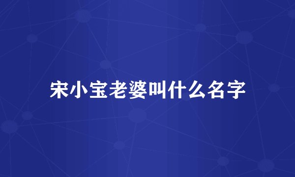 宋小宝老婆叫什么名字