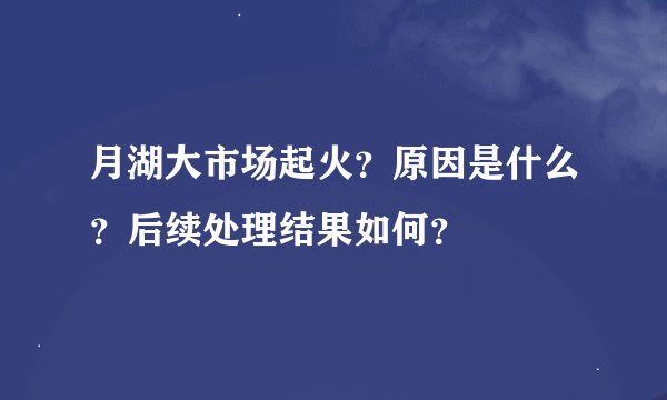 月湖大市场起火?原因是什么?后续处理结果如何?