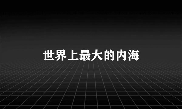 世界上最大的内海