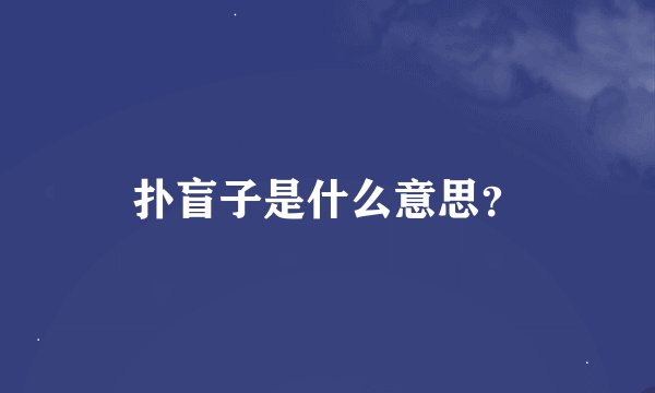 扑盲子是什么意思？