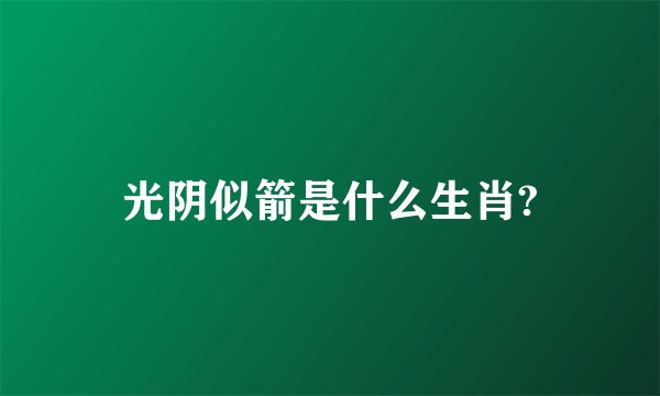 光阴似箭是什么生肖?