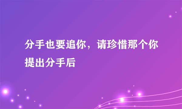分手也要追你，请珍惜那个你提出分手后