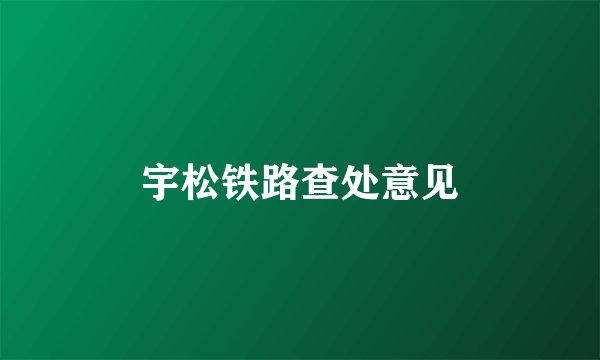 宇松铁路查处意见