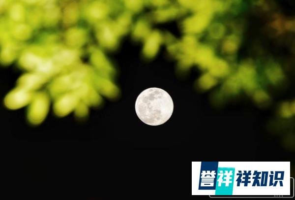 错过再等20年！今年教师节，给你的老师说声“中秋快乐”！