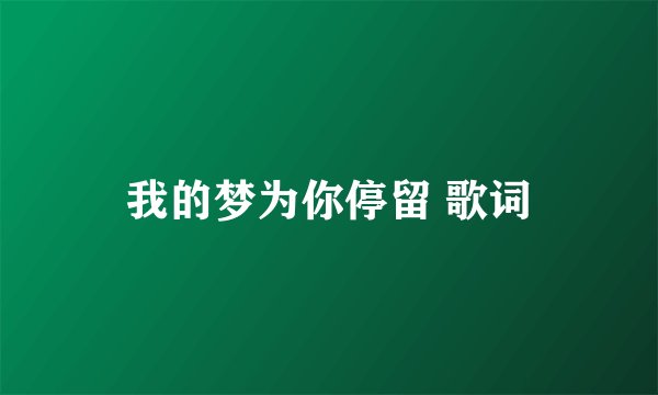 我的梦为你停留 歌词