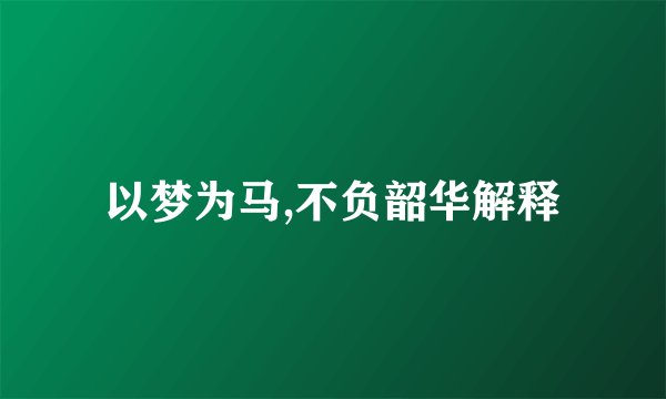 以梦为马,不负韶华解释