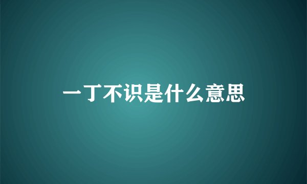 一丁不识是什么意思