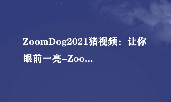 ZoomDog2021猪视频：让你眼前一亮-ZoomDog2021：惊艳猪视频登场！