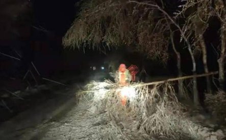 中国台湾发生79起地震，十吨巨石整个掉落地面，如何预防次生灾害的发生？