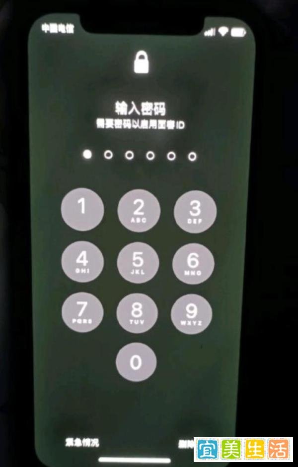 iPhone12也“绿屏”了?多人中招,快看看你的iPhone12屏幕!