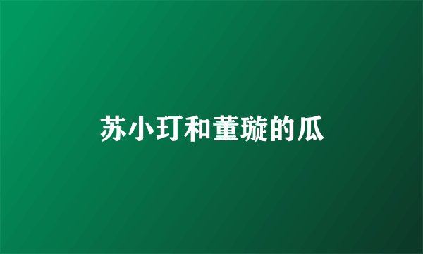 苏小玎和董璇的瓜