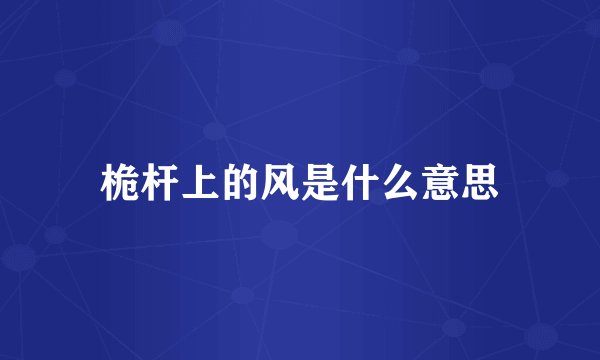 桅杆上的风是什么意思