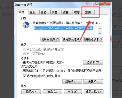 为什么我的IE地址栏打开后显示空白?