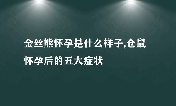 金丝熊怀孕是什么样子,仓鼠怀孕后的五大症状