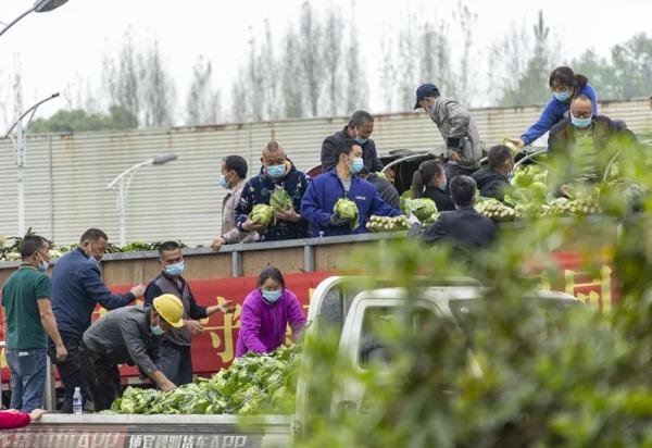 杭州每天10万斤早笋驰援上海,还有哪些地方驰援了上海?
