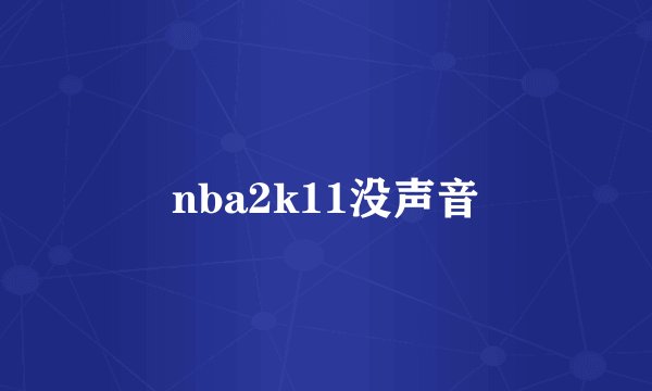nba2k11没声音
