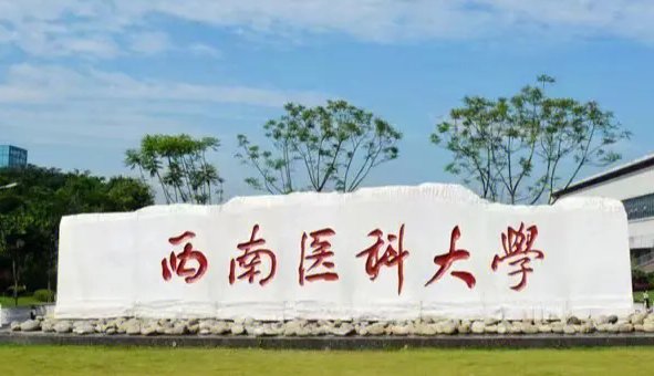 2023西南医科大录取分