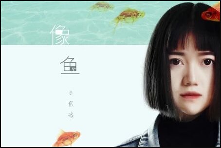 我要记住你的样子什么歌