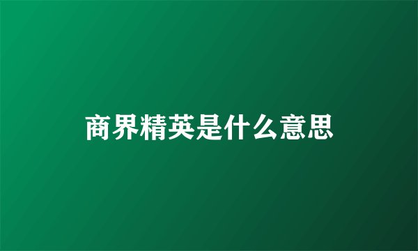 商界精英是什么意思