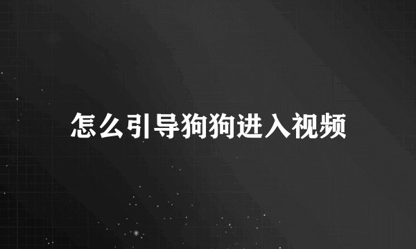 怎么引导狗狗进入视频