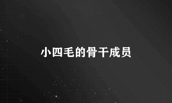 小四毛的骨干成员