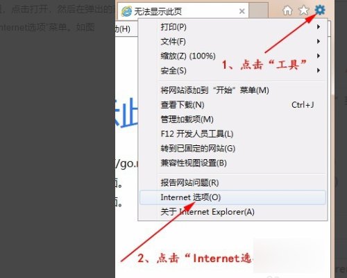 为什么我的IE地址栏打开后显示空白?