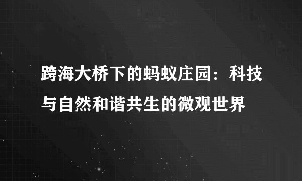 跨海大桥下的蚂蚁庄园：科技与自然和谐共生的微观世界