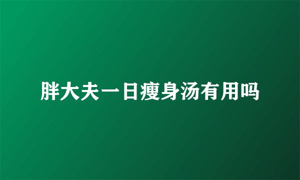 胖大夫一日瘦身汤有用吗