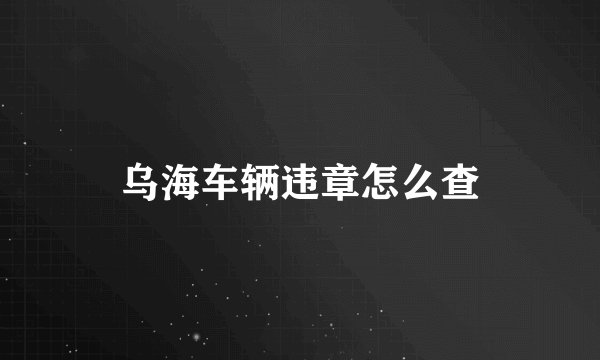 乌海车辆违章怎么查