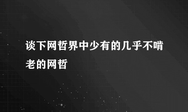 谈下网哲界中少有的几乎不啃老的网哲
