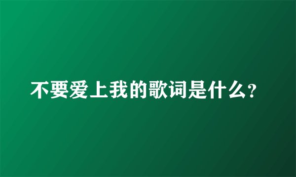 不要爱上我的歌词是什么？