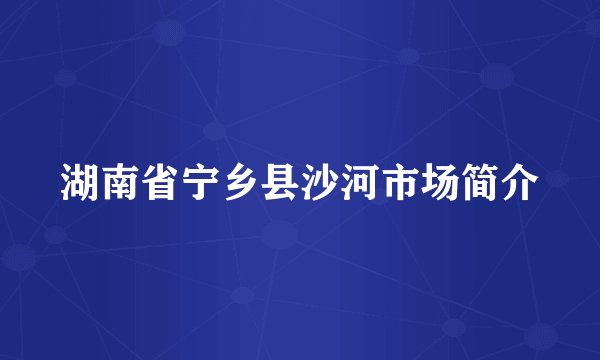 湖南省宁乡县沙河市场简介