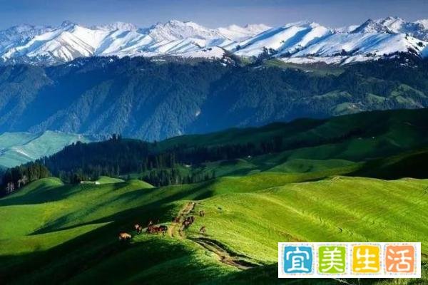 高考地理大题精选——新丝绸之路经济带