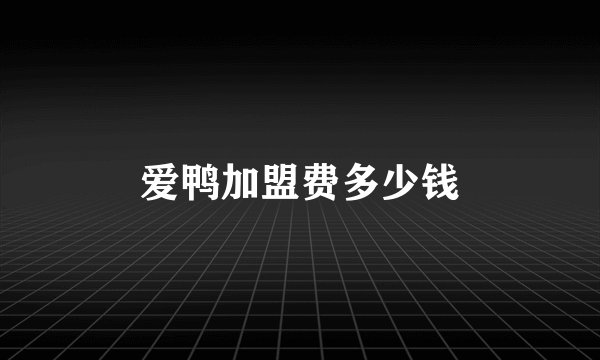 爱鸭加盟费多少钱