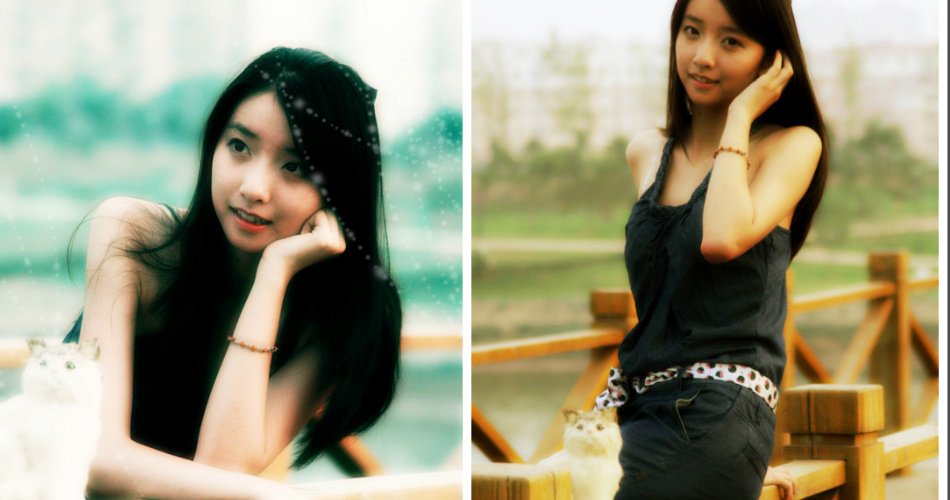 杨春白雪的介绍