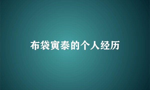 布袋寅泰的个人经历