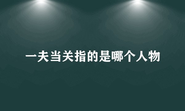 一夫当关指的是哪个人物