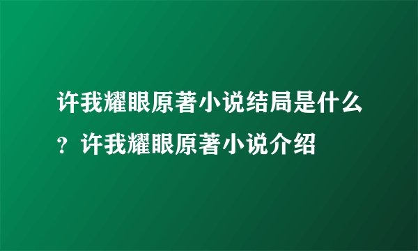许我耀眼原著小说结局是什么？许我耀眼原著小说介绍