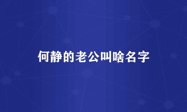 何静的老公叫啥名字