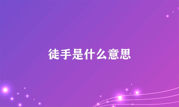 徒手是什么意思