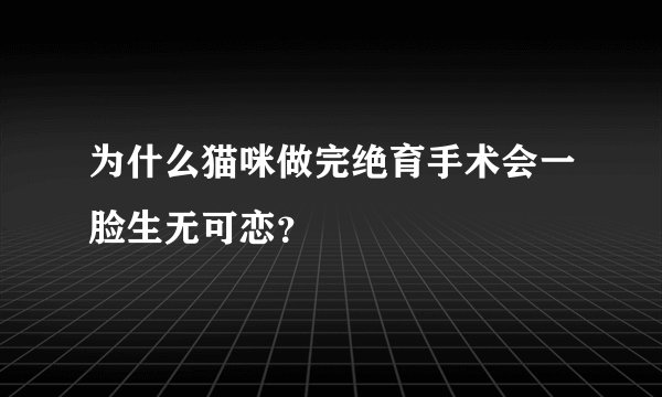 为什么猫咪做完绝育手术会一脸生无可恋？