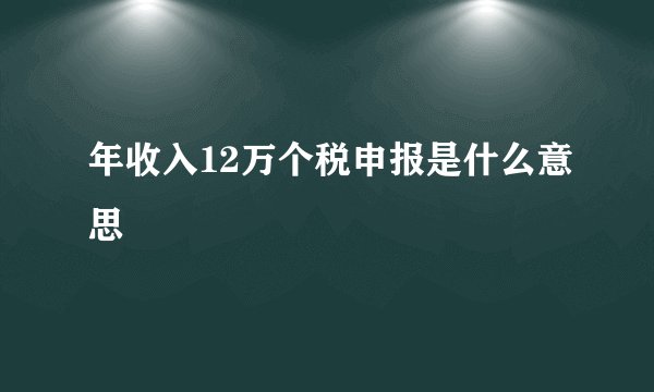 年收入12万个税申报是什么意思